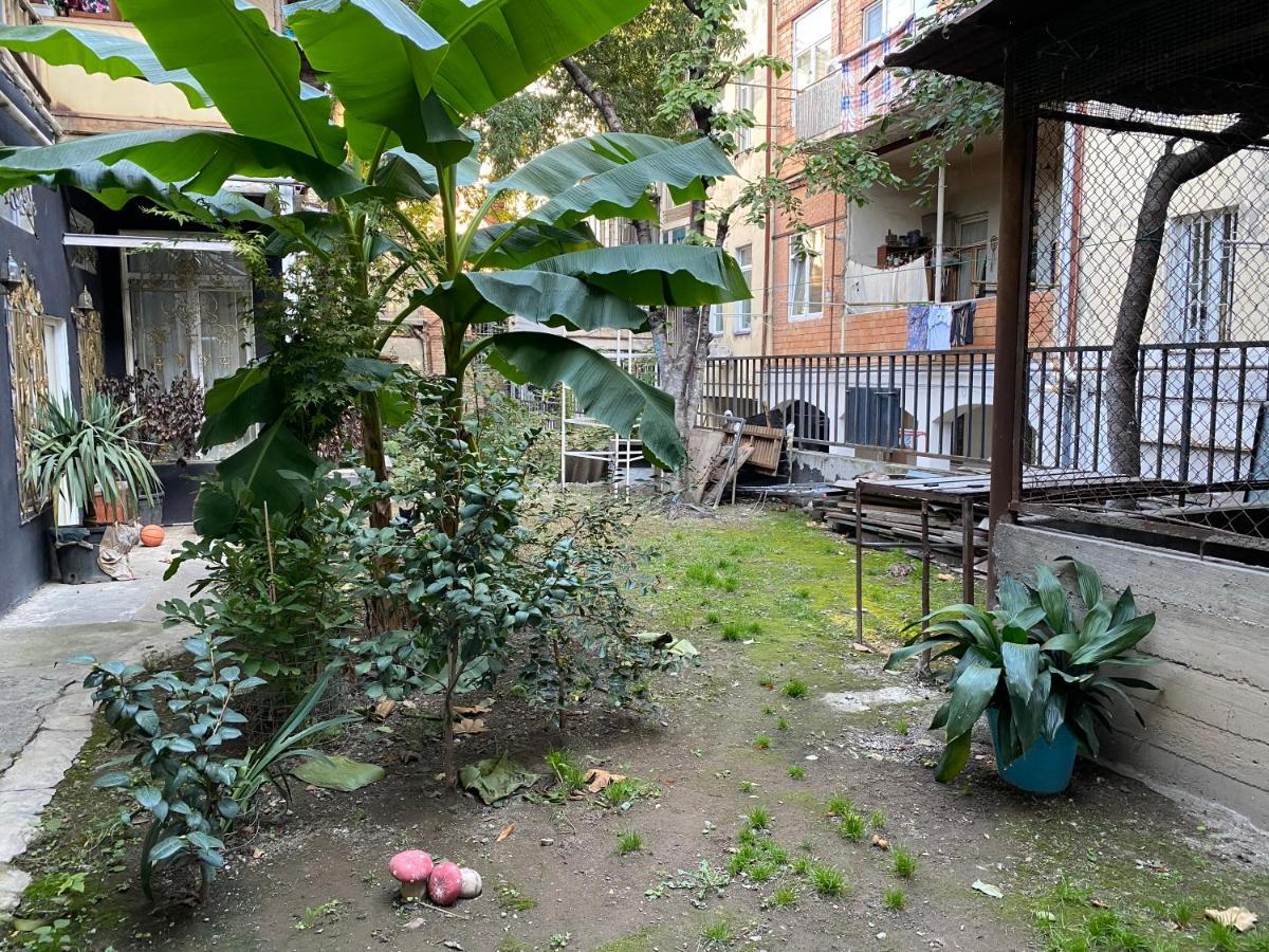 Guest House Gml-2 Τυφλίδα Εξωτερικό φωτογραφία